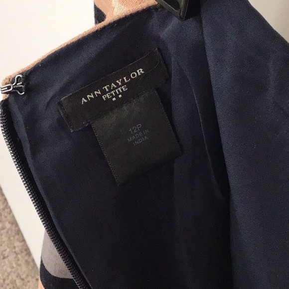 Ann Taylor Sweater & Skirt Set Sz 12P - Picture 5 of 5